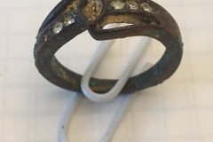 ring-20122019